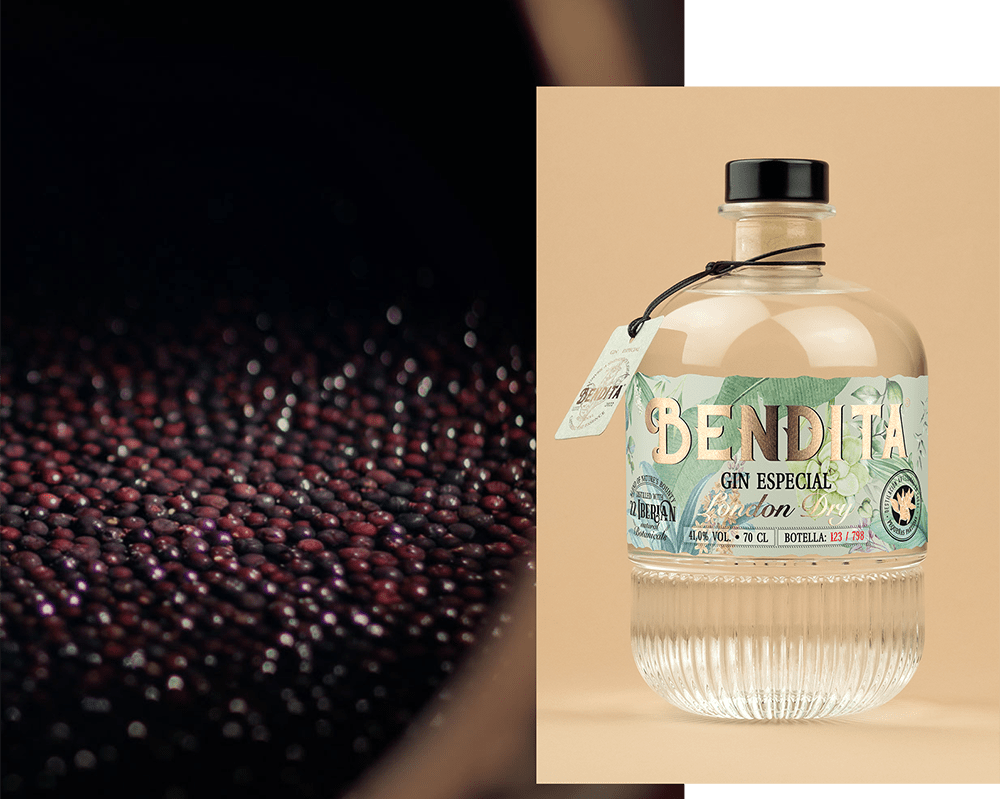 DESTILERÍA DE MADRID